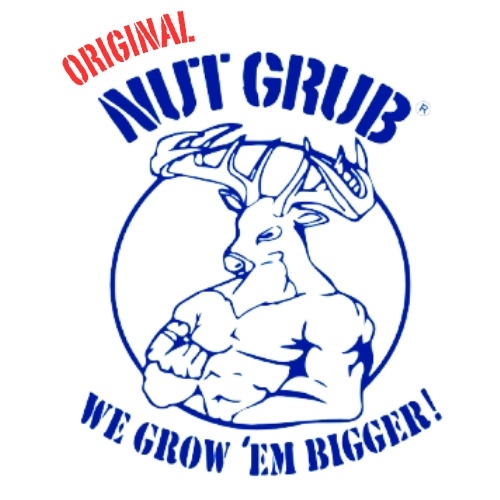 Nut Grub